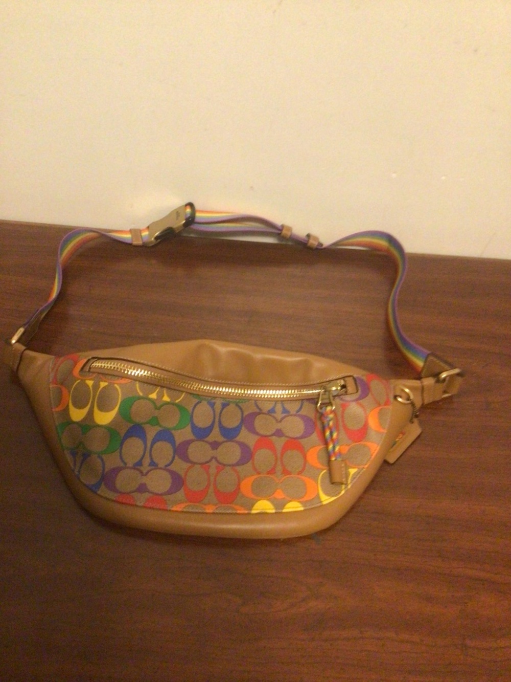 Coach pride  color canvas strap with buckle closure waist bag or across the body
